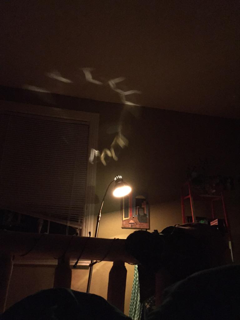 taylor bogner tweet media