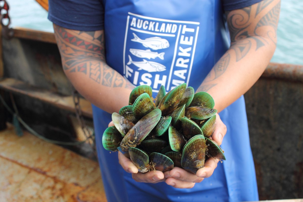 New Zealand green-lip Mussels one of the worlds most successfully farmed mussels only $3.99 per Kg <a href="/AucklandFishMkt/">Auckland Fish Market</a>