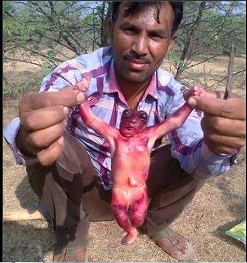 9Stuffs's tweet photo. Small Aliens like organism found while digging earth for Tubewell in Jodhpur India  http://t.co/fyDnrKWTe1 
#GOHF2015 http://t.co/WBCJuqj7uJ