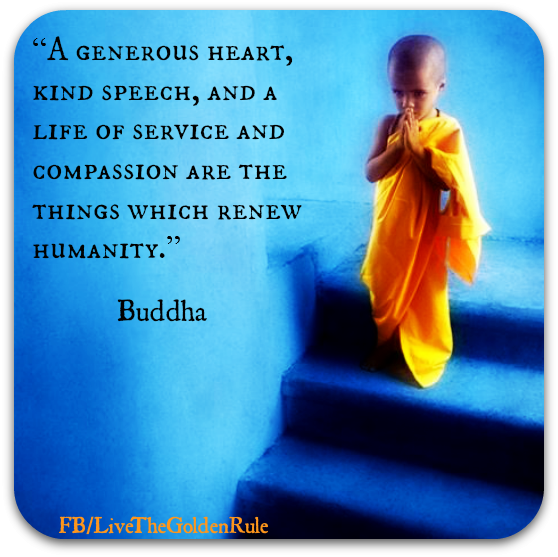 Meg Lawton tweet media