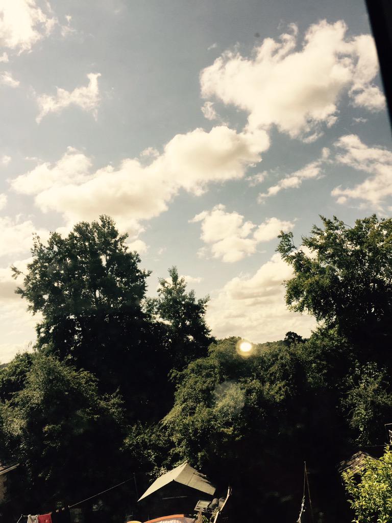 Jake Neal tweet media