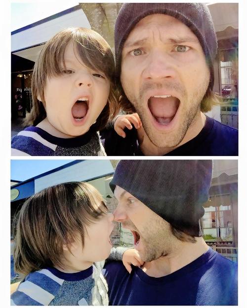 Oliver Winchester (@sonofamoose) on Twitter photo 