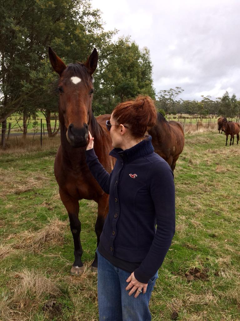 redinkracing's tweet photo. Quick visit to @MirandaPark888 to visit the girls #Lucy #divinerubi #thunderrain http://t.co/SUfJLcljAX