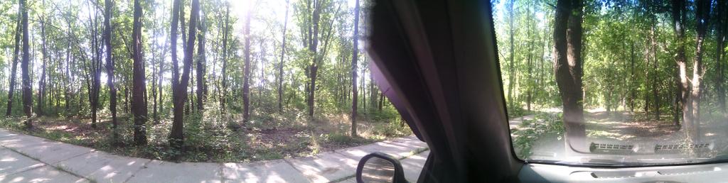 TweetPulser tweet picture