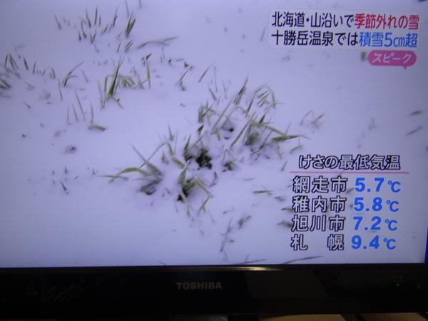 kfjokec's tweet photo. 北海道雪ฅ(º ﾛ º ฅ)
６月だよ！？？！？！？！？？？！！ https://t.co/3dAzmtlujp