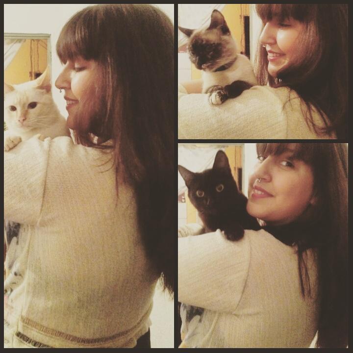 PriboiO's tweet photo. Sobre meu amor por gatos! http://t.co/fvIWXQR8wr