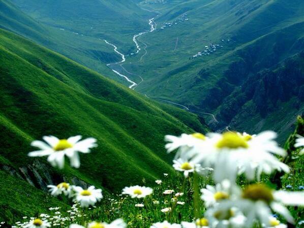 أخبار الوطن No Twitter جمال وروعة الطبيعة في طرابزون تركيا غرد بصورة صورة Http T Co Dbl0g3ntgv