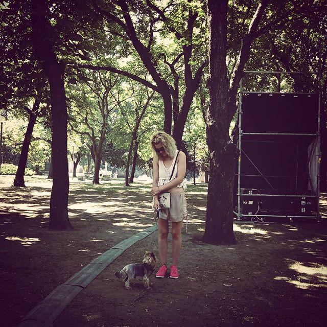 ck_insta's tweet photo. #dog #walkeddog #yorky #yorkie #smalldog #ukrainiangirl #ukrgirls #ukraine #tatoogirl #girl #allsaints #park #summe… http://t.co/gGuIN2y9Ty