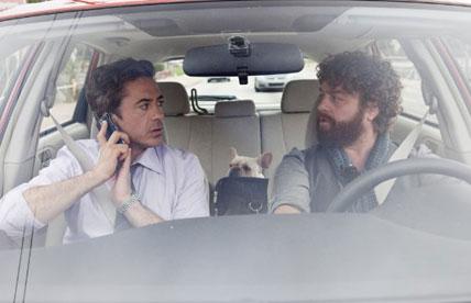 SeriesvsMovies's tweet photo. Due Date @galifianakisz @RobertDowneyJr #DueDate #EthanChase #PeterHighman by: @NomanTwd http://t.co/2Sds2HGe1Z