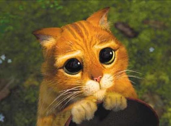 gicai10's tweet image. @ProAndroid  #SorteoProAndroid1millon
La cara que pongo para que me des el P7000.