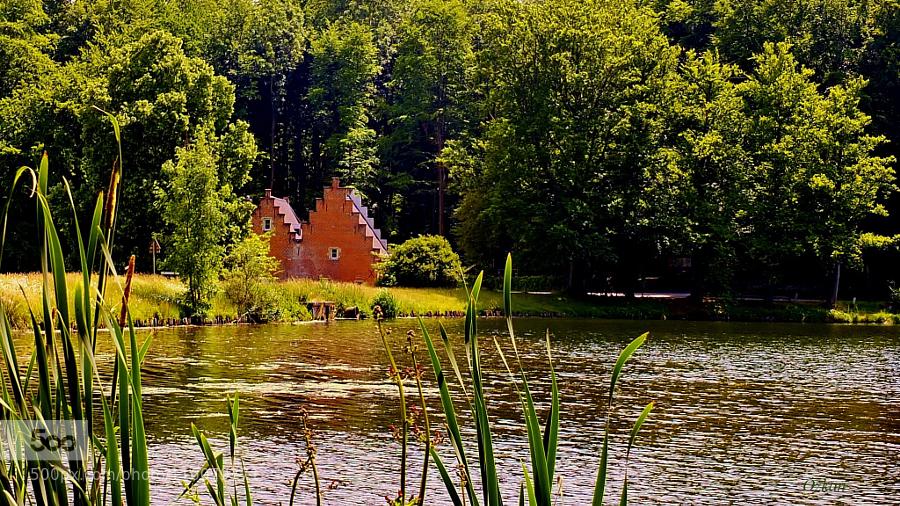 BoingTamarindo's tweet photo. Lost in the forest: #cottage #lake #forest #landscape #göl #orman #doğa #kır evi #Flamish cottage http://t.co/BdhozDU9Xk