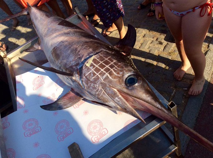 My week in Sicily, today coming back to Prague 😎👸🏼💋 http://t.co/yHXHLfc5jV