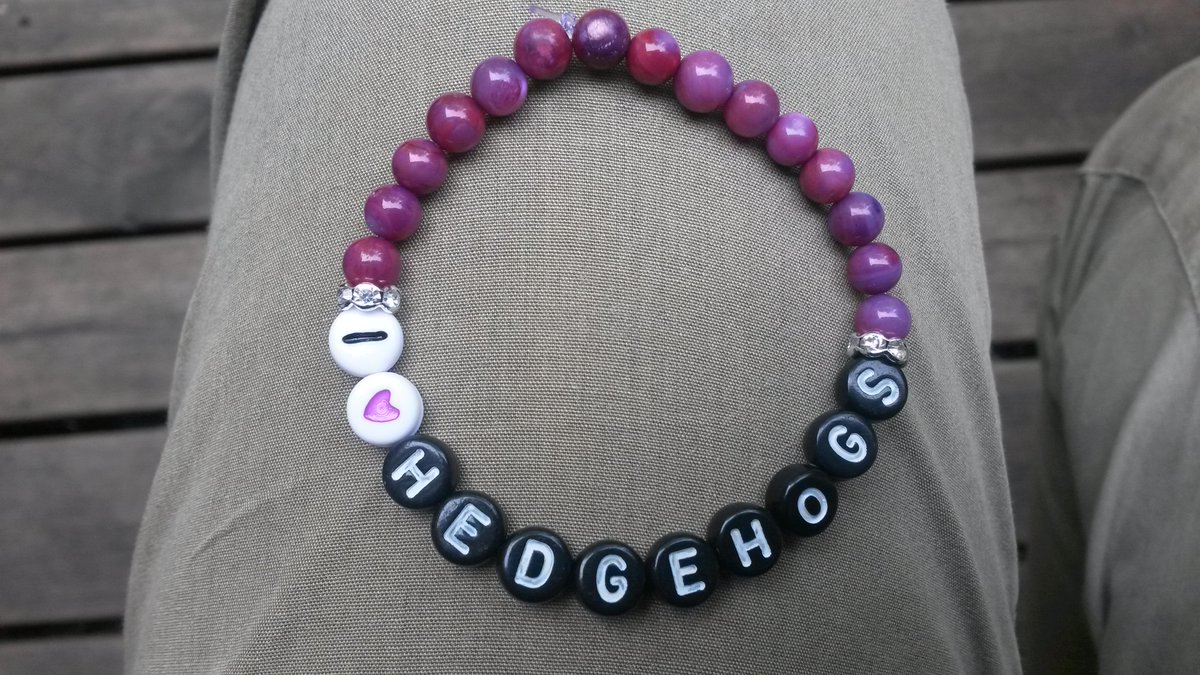 nossnaji's tweet image. Igelkottar behöver också uppmärksamhet. #igelkottar #naturskyddsföreningen #ilovehedgehogs #hedgehogs #miljö