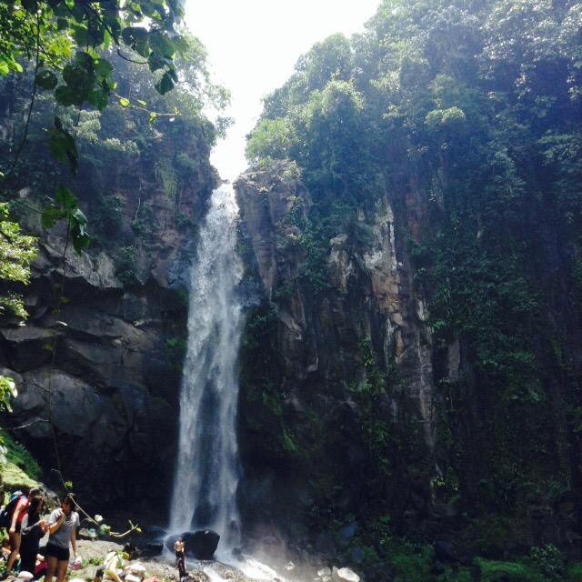 jesikaenriquez's tweet image. TODAY's ADVENTURE! ☺️🍃🌳🌴 #windmills #trekking #freshbuko #buntotpalosfalls