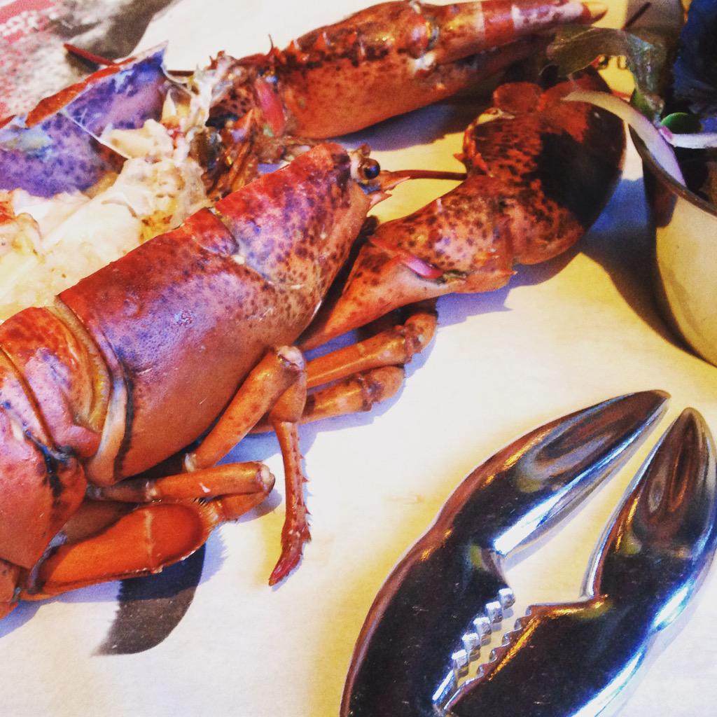 Lobster Porn - Food Blogger | Gingey Bites on Twitter: \