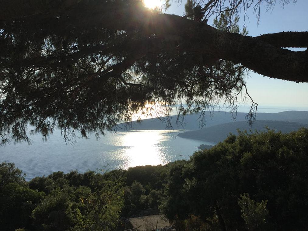 carlomuscatello's tweet photo. Just #Ustrine #Cherso #Croazia / 7 http://t.co/aOm59SVqLF