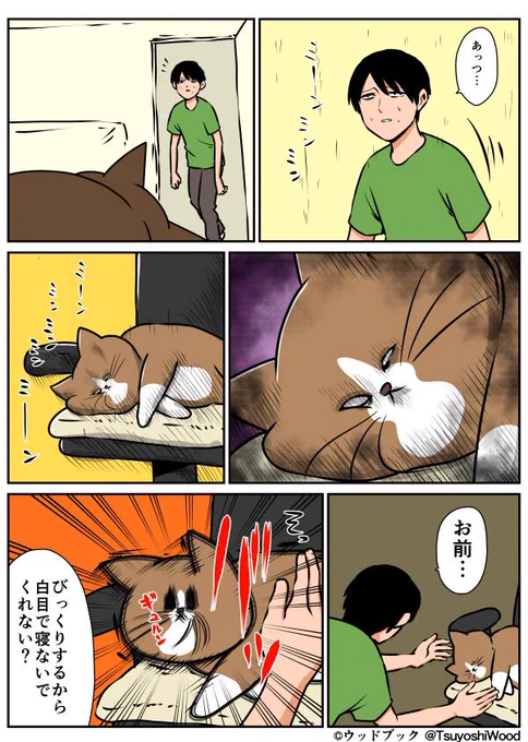 【漫画日記】猫の怖い話 