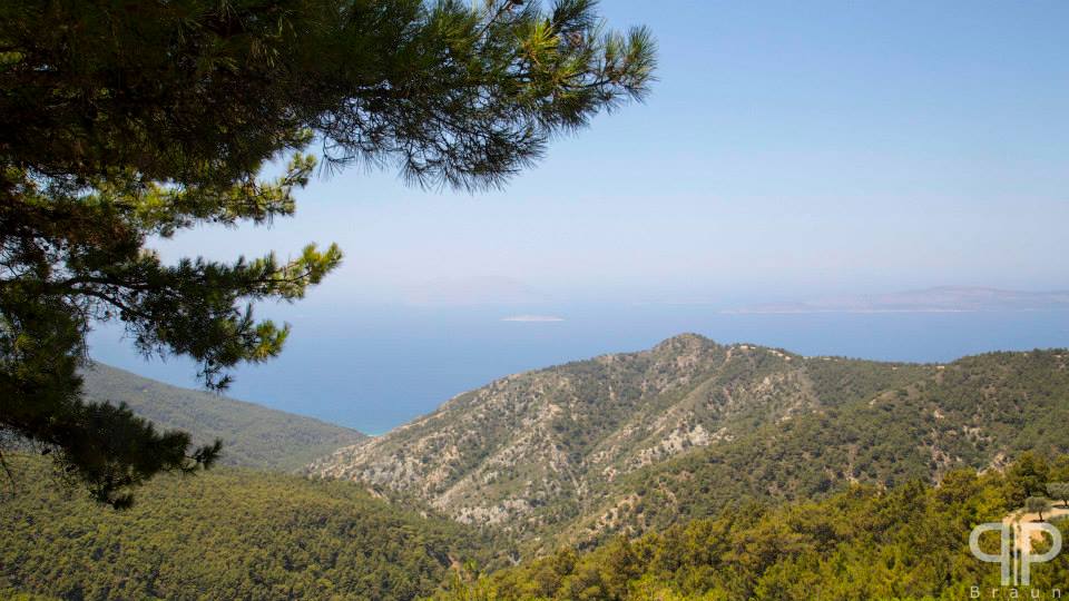 The Greek Experience tweet media