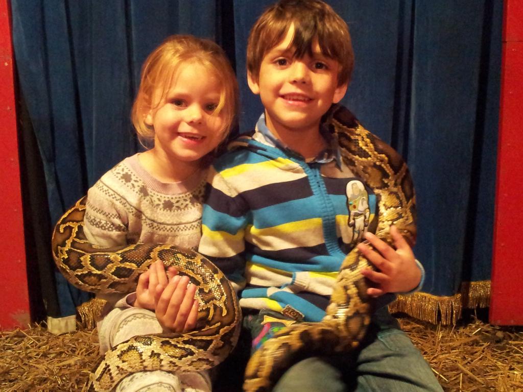 Meridithia's tweet image. 