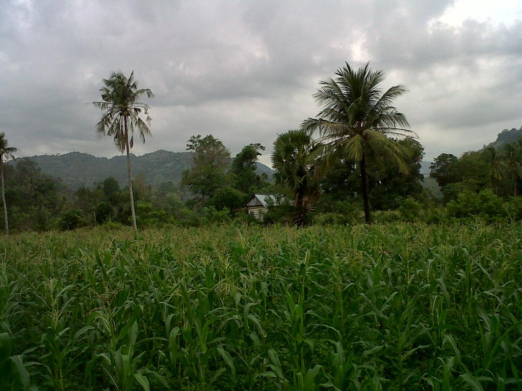 askhy91 (@askhy91) on Twitter photo 