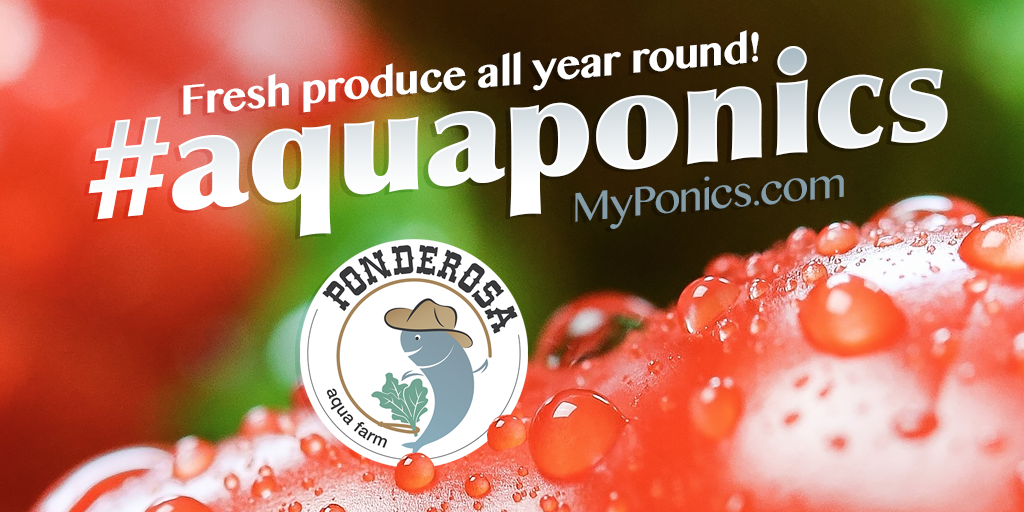 MyPonics's tweet image. Love the idea growing thru the seasons! #aquaponics will let us offer you fresh produce all year round!