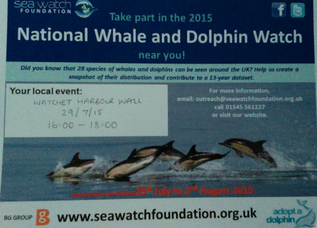 National Whale&amp;Dolphin Watch next Wed in Watchet spot harbour porpoise! <a href="/WatchetMarina/">Marina Shop & Cafe</a> <a href="/WhatsOnWatchet/">WhatsOnWatchet</a> <a href="/VisitSomerset/">Visit Somerset</a>