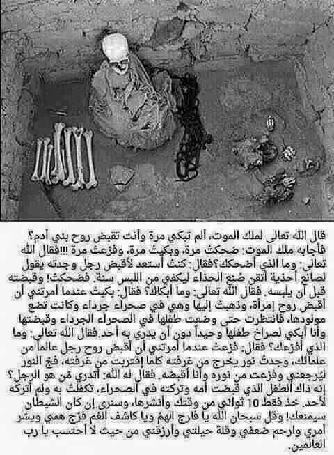 alialaa32158's tweet photo. http://t.co/N6aNRbkwk5