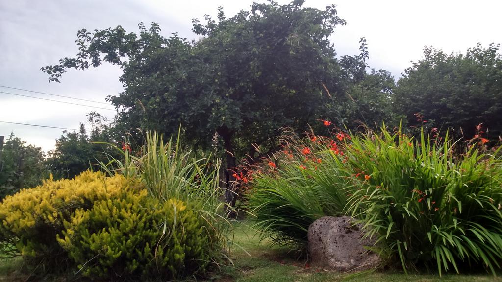 DawnoftheUnread's tweet photo. There's only one place to read DH Lawrence...naked in the countryside, near prickly colourful distractions. http://t.co/TSDqe1eTJ2