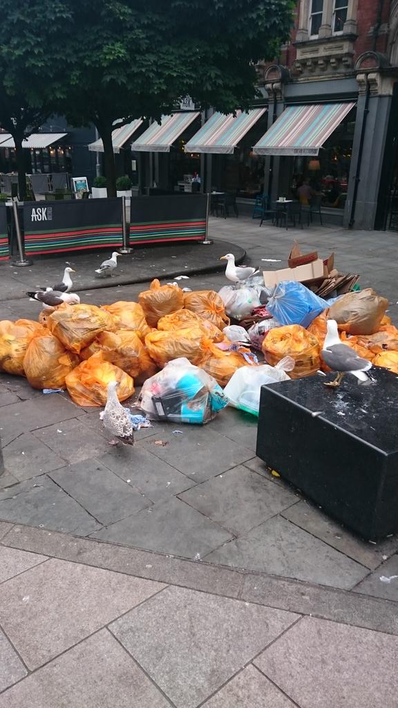 View image on Twitter