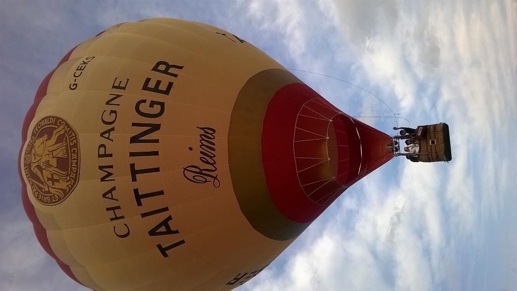 Sue Brooker 💙 tweet media