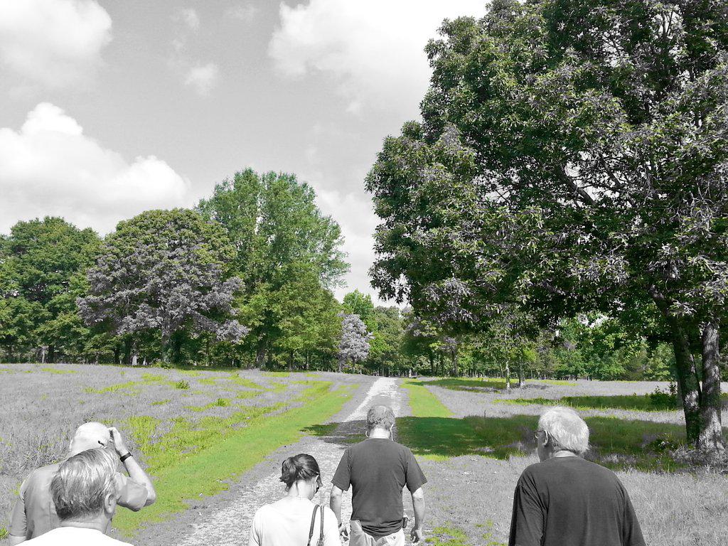 ABPPNPS's tweet photo. The #British are coming up the road! #SCARW #RevWar @CowpensNB #SC http://t.co/yJe90f8zIU