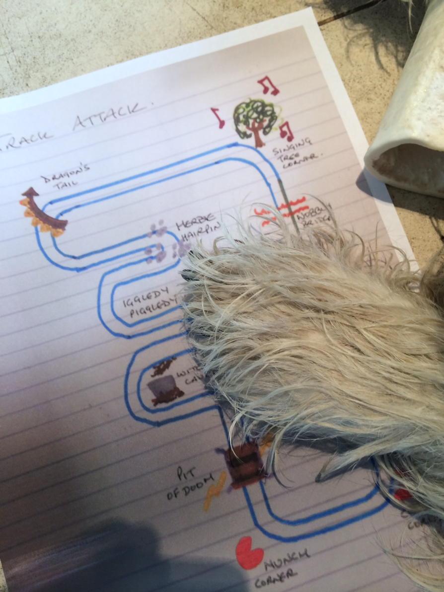 Herbie gives his paw of approval to the Herbie Hairpin on our Track Attack. Who wants to be the first contender?