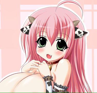 うちの子ペタリ(・ω・)ノ 