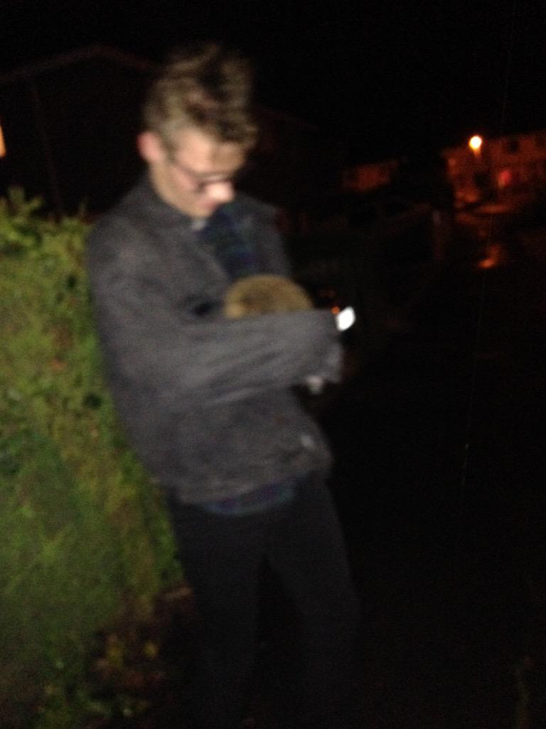 Went out drunk last night and Kyle found a hedgehog so he brought it back to my house and we gave it a bagh