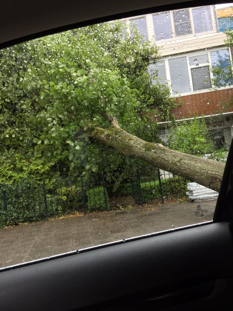 mounirahm's tweet image. Oh lord een boom viel om voor de deur #wind #windstoten #slechtweer