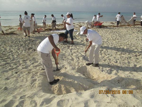 FlamingoNews's tweet photo. Limpieza de Playa H. Flamingo, gracias Staff y @ZOFEMATBJ, juntos para mejorar nuestras playas. http://t.co/ryzmcpoBuP
