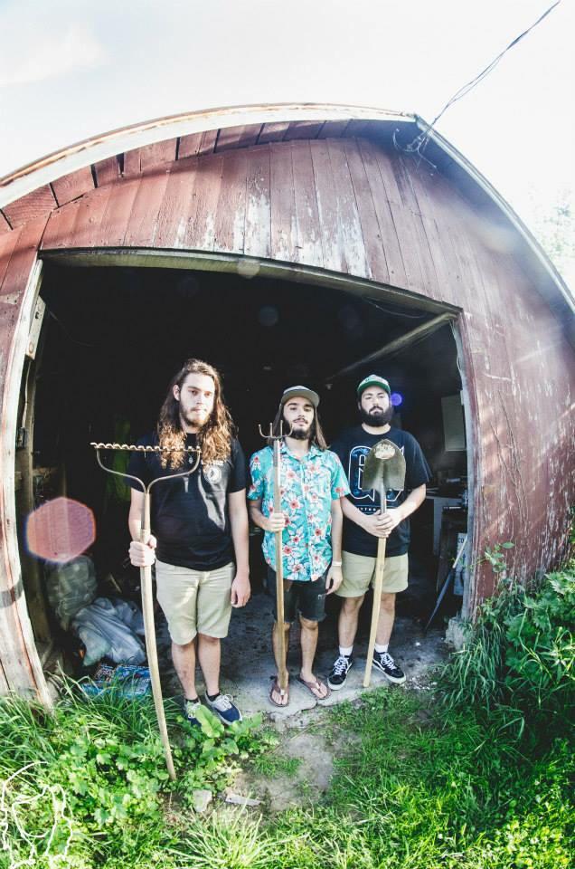 LeftHomeTN's tweet image. Farmers-only.com