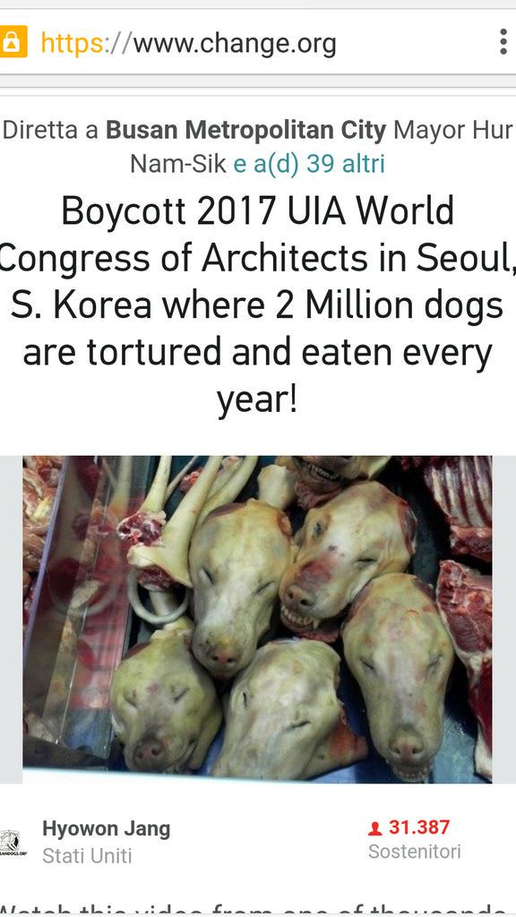 anshel4660's tweet photo. SIGN PETITION-BOYCOTT 2017 UIA WORLD CONGRESS! 2 MILLIONS DOGS TORTURED/EATEN #SOUTHKOREA ✏ https://t.co/oIADzLG0OY http://t.co/eMua61jMQ4