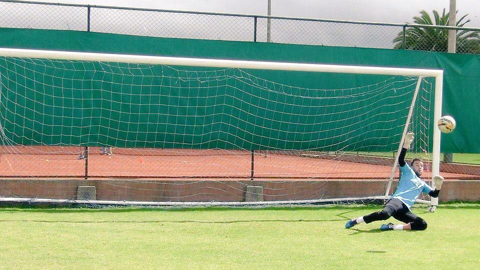 Sebas Duque tweet media