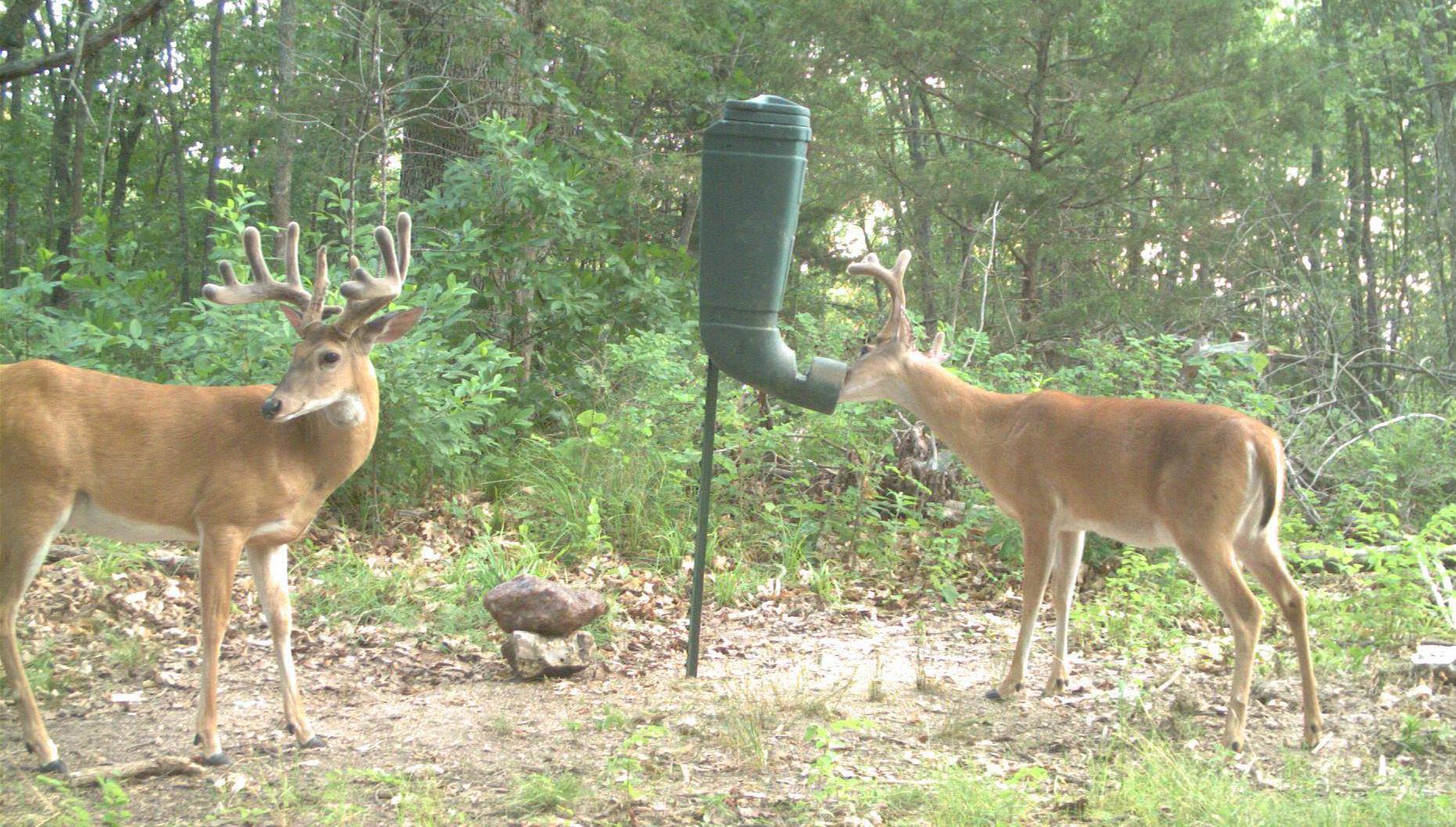 Redneck Blinds On Twitter Our T Post Feeder Is Perfect For