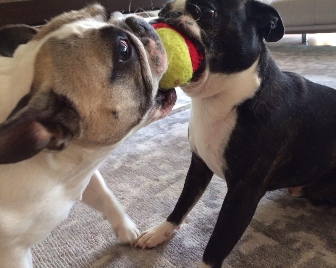 Kent Y (@keyuen_y) on Twitter photo 