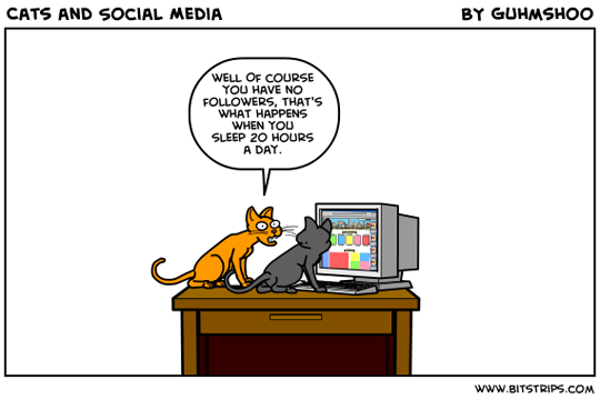 DutchSEO1's tweet photo. what is the reason we don't get any followers? #SEO cats know the #answer. #socialmedia #seo http://t.co/7uqbtj6uIb