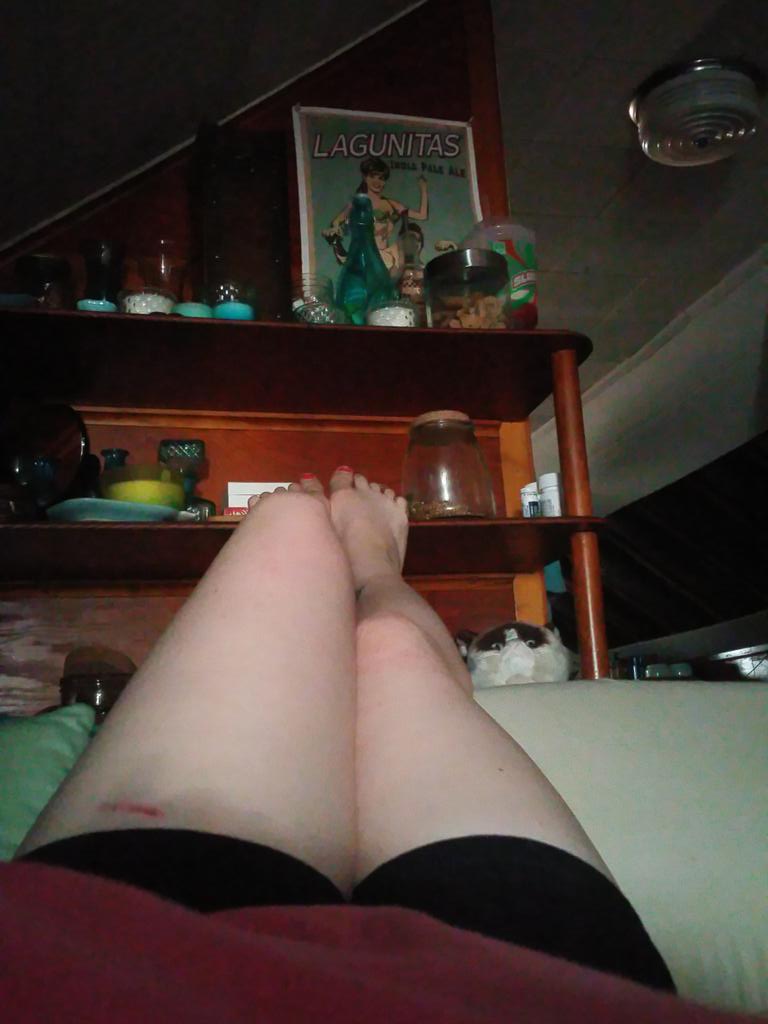 SimonePaton's tweet photo. #thighreading I love my thighs even if you don't. #workwounds #lagunitas #slushee #grumpycat #bodypositive http://t.co/1mS54nEQEZ