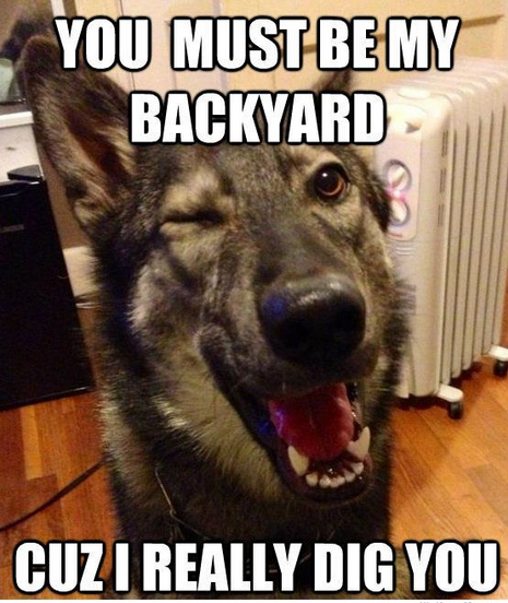 Even dogs have bad openers.