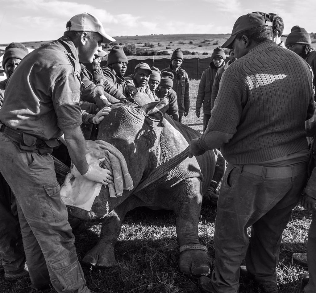 David_Yarrow's tweet photo. The papers wont write about #Hope - a most unusual time to employ sensitivities - so I have..  http://t.co/3ffn9OaE6v http://t.co/FzohkRJsN8