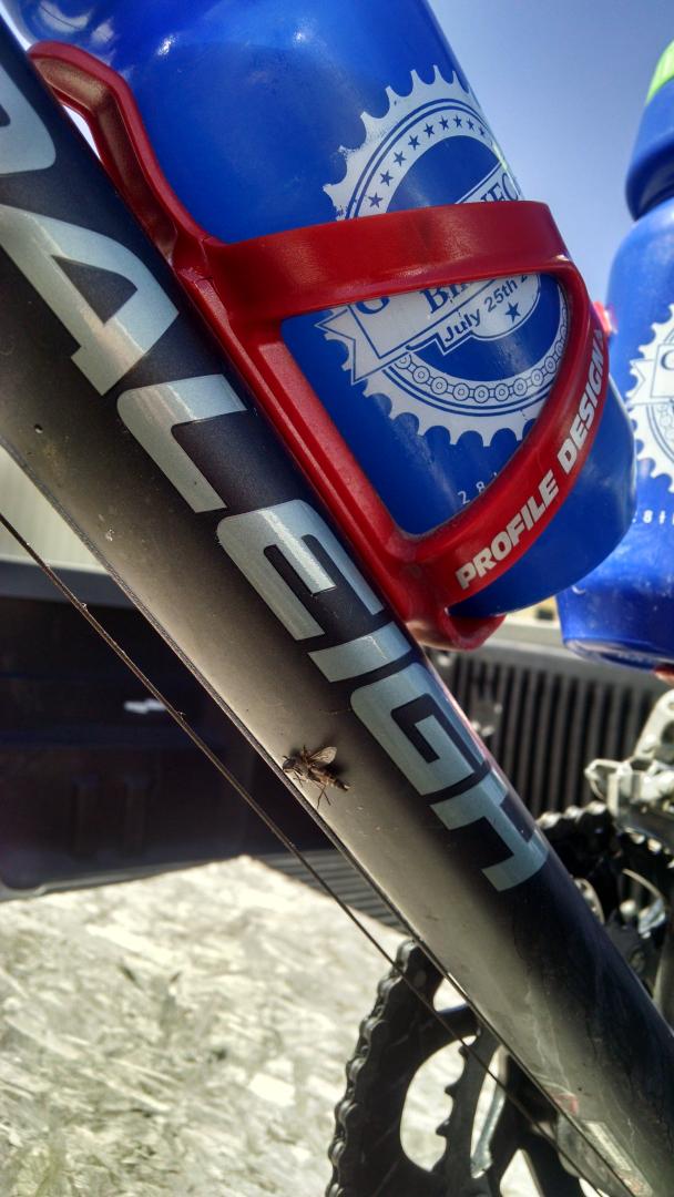 distance66's tweet photo. 70.1 mi Ride on Strava #Goatneck : http://t.co/Yx24GeVv83 http://t.co/ThK5PgChhs