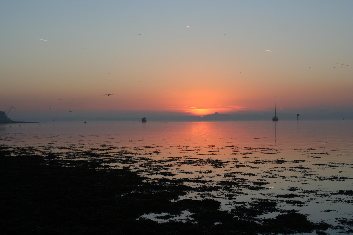 #ESCP Image of the Day: Time for an evening walk #sunset #weekend #Solent <a href="/HantsLandscapes/">Hampshire Landscapes</a> #nature