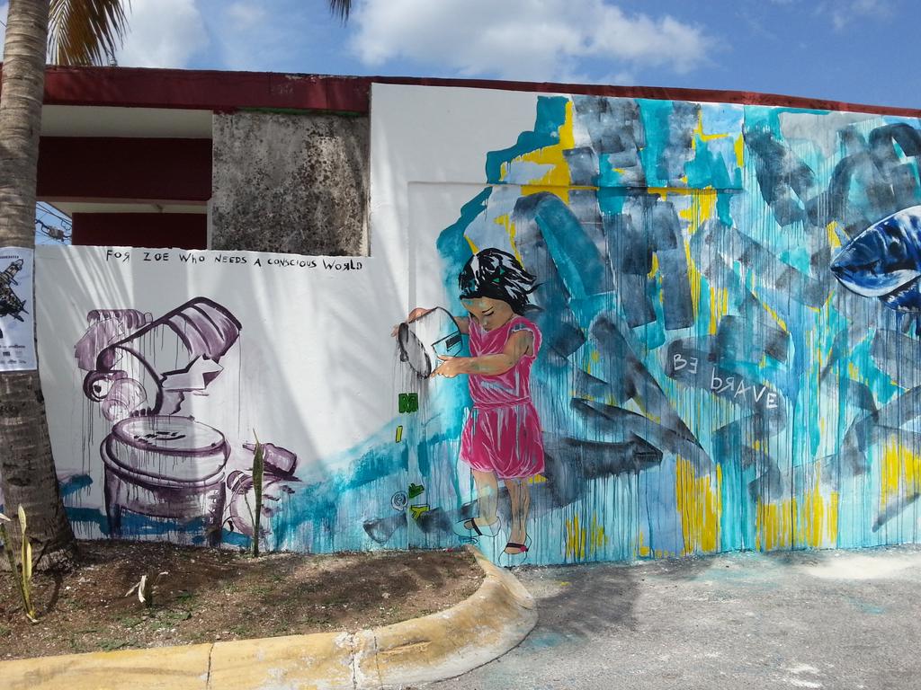 RivieraCancun's tweet photo. "For Zoe who needs a conscious world" @lizrashellART de @WeAre_WAD  en @SeaWalls_ #Cozumel de @PangeaSeed. http://t.co/D8gzXmagRk