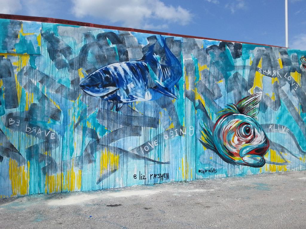 RivieraCancun's tweet photo. "For Zoe who needs a conscious world" @lizrashellART de @WeAre_WAD  en @SeaWalls_ #Cozumel de @PangeaSeed. http://t.co/D8gzXmagRk