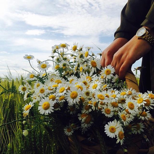 Kurban olduğum Râbbim Sen iyilerle karşılaştır …
Zira ben her gördüğümü iyi sanıyorum .